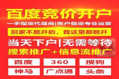 某某SEM团队成功案例：广告投放策略揭秘
